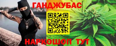 гашик Аргун
