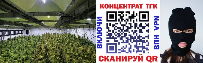Дистиллят ТГК жижа  хочу   ОМГ ОМГ ссылка  Тосно 