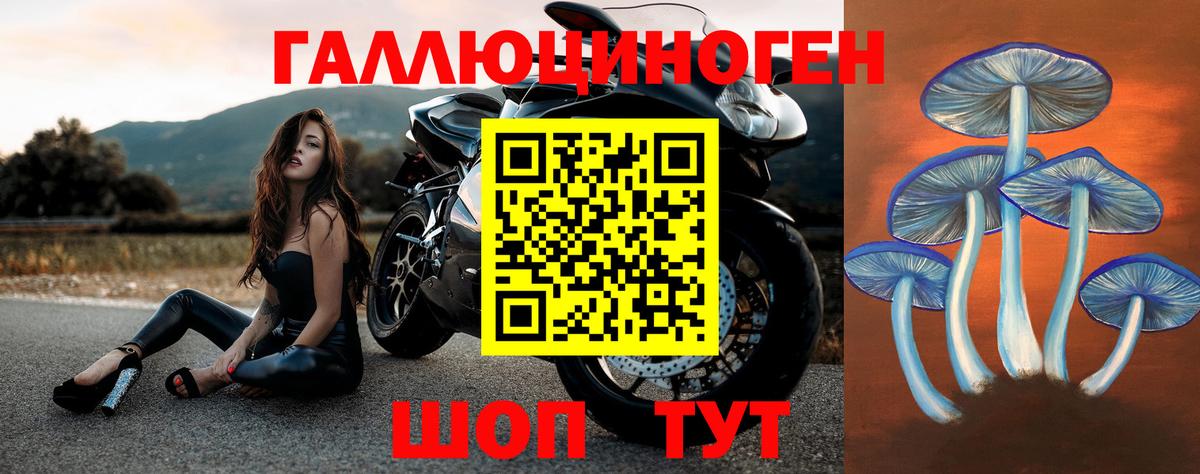 Тосно  Псилоцибиновые грибы Psilocybe  где найти наркотики  Вход с VPN  Галлюциногенные грибы MAGIC MUSHROOMS 